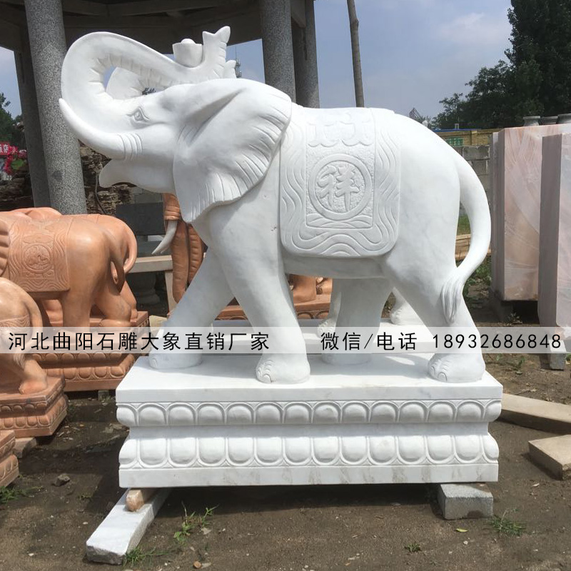 汉白玉石雕大象厂家,批发汉白玉大象价格,门口摆放石雕大象图片