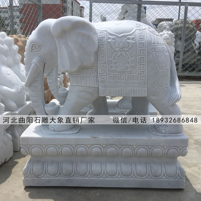 汉白玉石雕大象报价销售,专业生产石雕大象厂家,吉祥如意石雕大象门口摆放