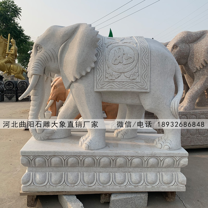 天然汉白玉石雕大象,现货石雕大象批发厂家,招财石雕大象图片报价