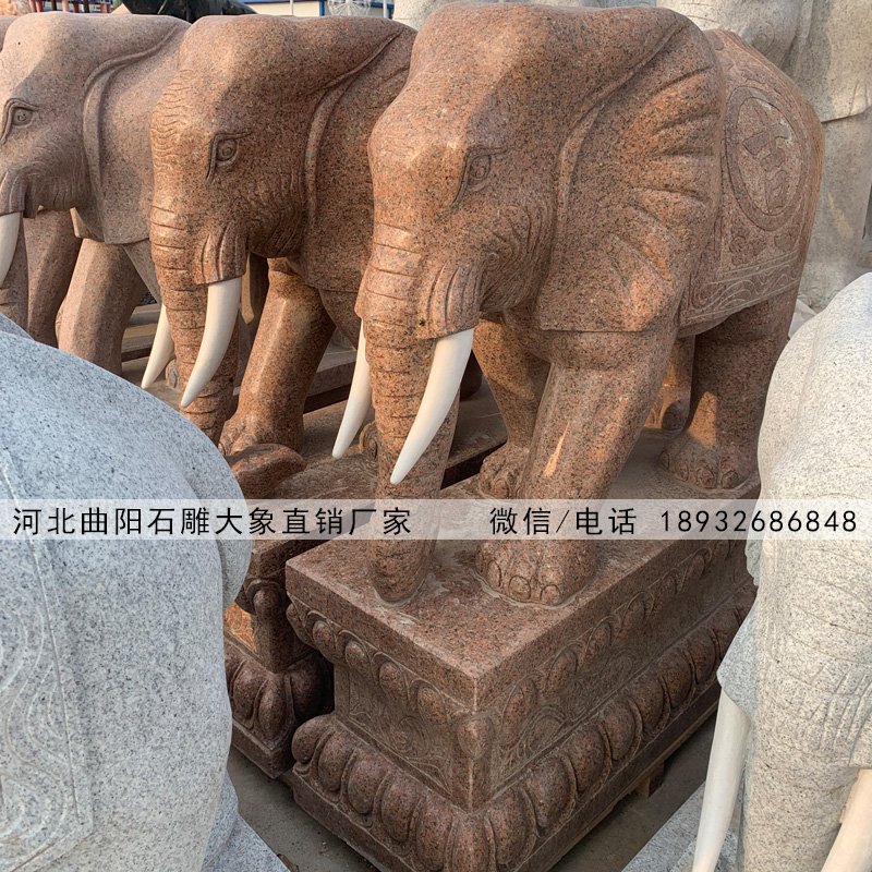 专业生产石雕大象厂家,石雕大象现货销售价格,花岗岩石雕大象图片造型报价