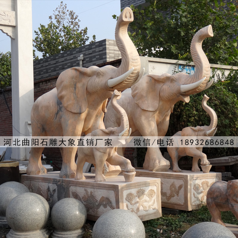 专业生产石雕大象厂家,曲阳石雕大象雕刻价格,门口招财石雕大象图片造型