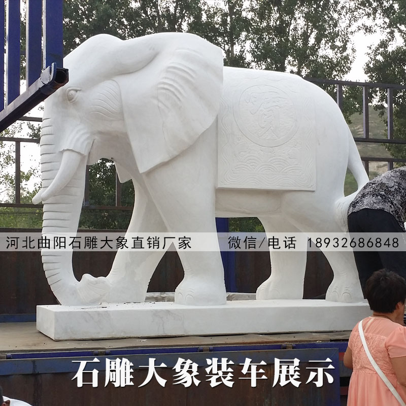 汉白玉石雕大象装车展示