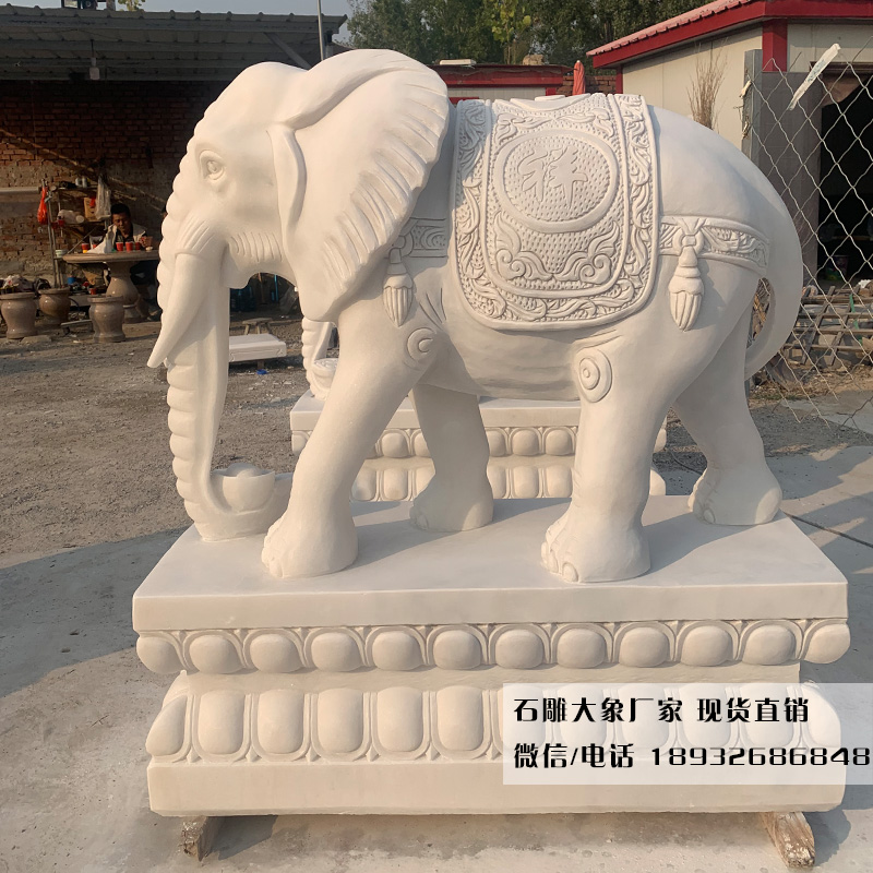 天然汉白玉石雕大象厂家 河北曲阳石雕大象雕刻价格 汉白玉大象现货销售