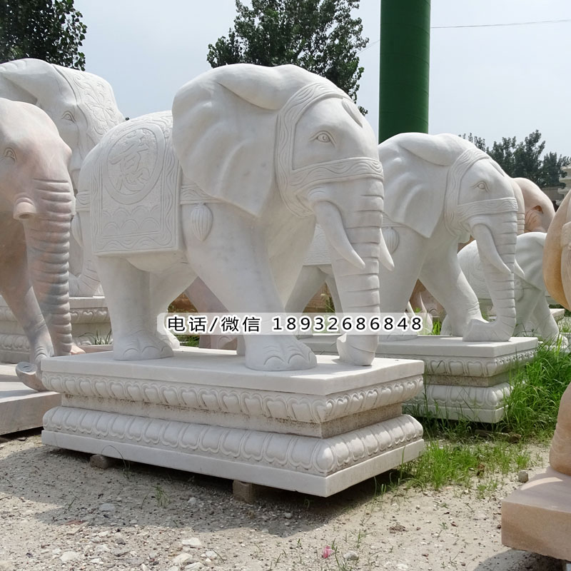 大象与中国文化的不解之缘。